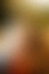 family holiday mini session