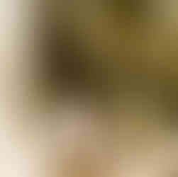 Hannibal Square Engagement Session