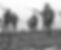 The_Battle_of_the_Somme_film_web-412x274_edited_edited.jpg