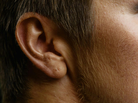 Understanding your ear hair's impact on hearing