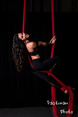 Aerial Silks