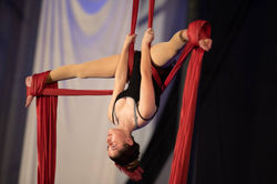 47575648_1217999704991986_73754089068827