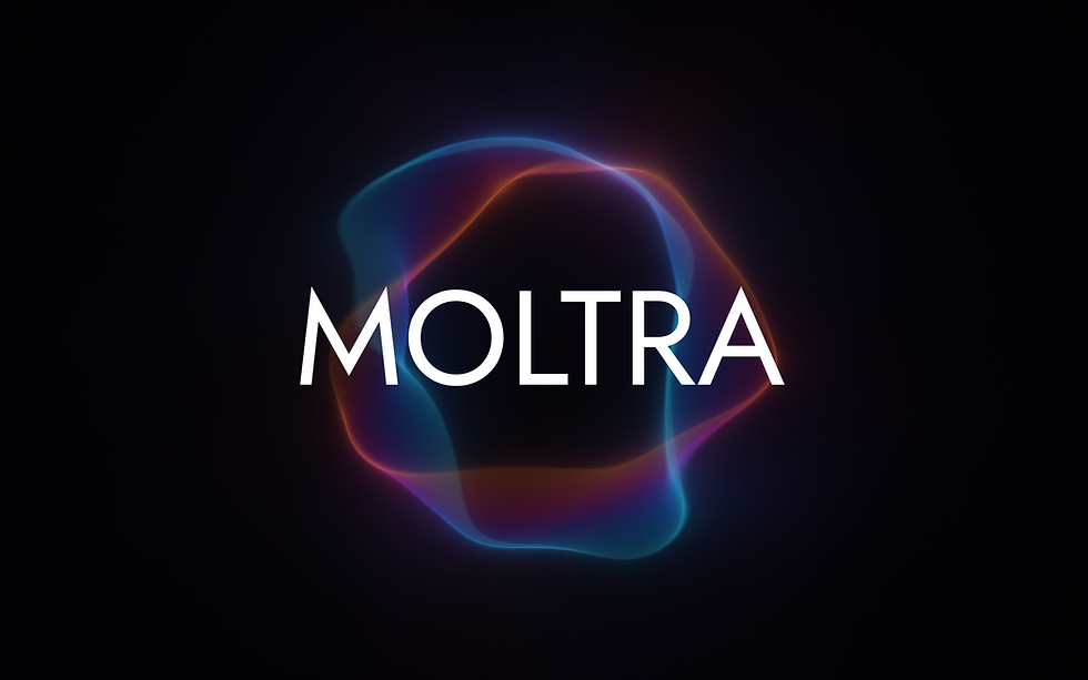 untitled_project (1).png