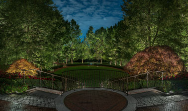 a view of a park at night with trees lit up