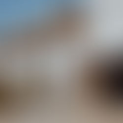 Anne-Sophie & Willem bij De Barrier