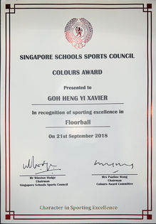 colours award 2018.jpg