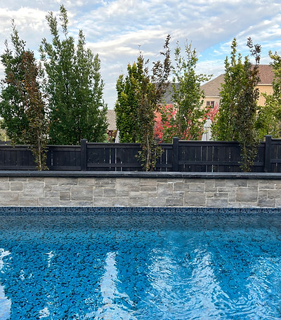 clean pool, maintained pool, new liner on pool