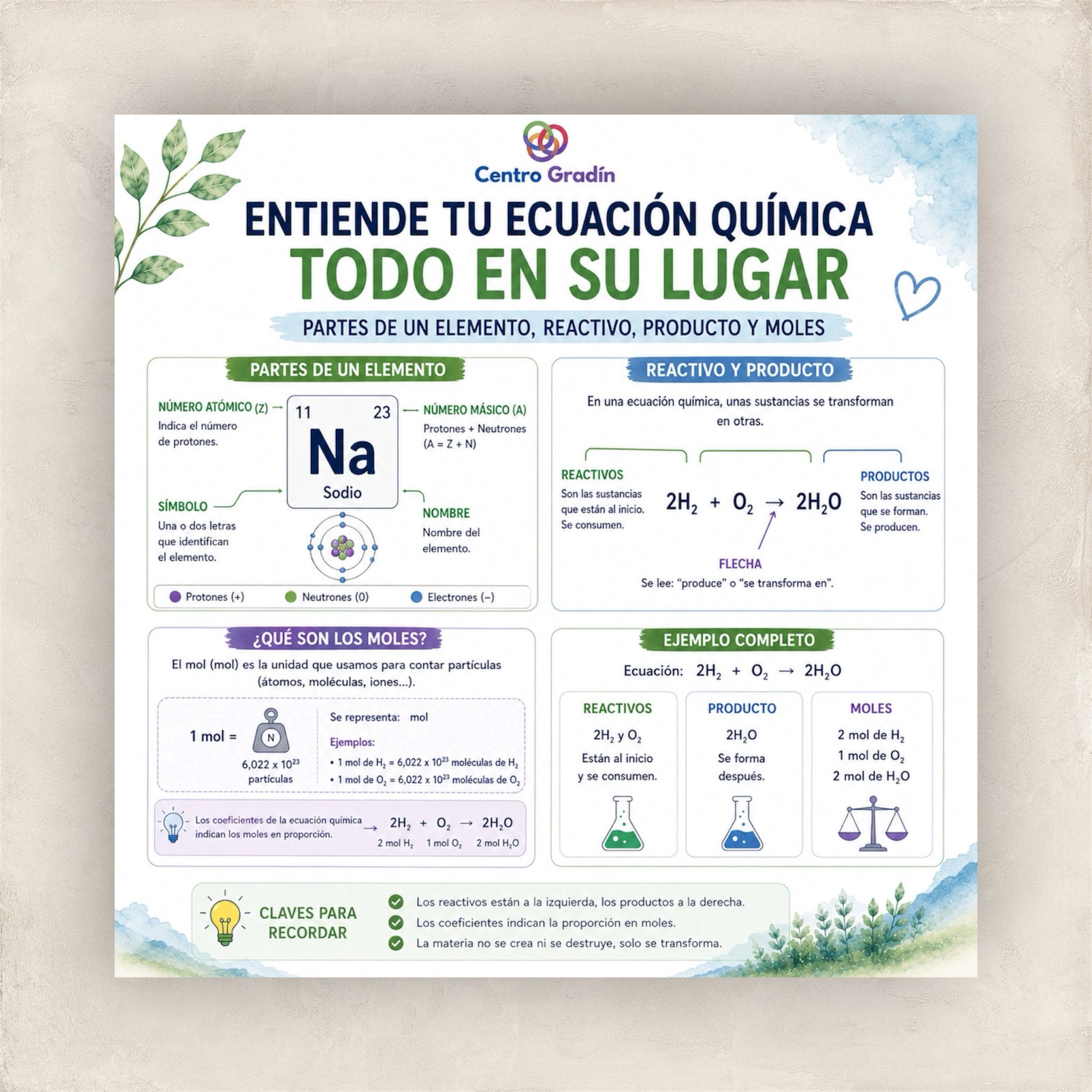 Entiende una ecuación química - paso a paso