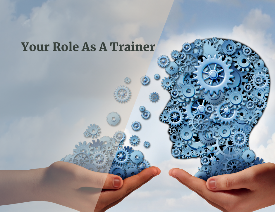 Management Training | Training Skills | Talent Development
