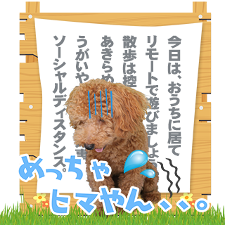 サムネイル： バラエティーセット3 ↑