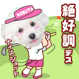 サムネイル： サマーgirl セット