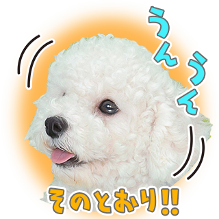 サムネイル： サマーセット3