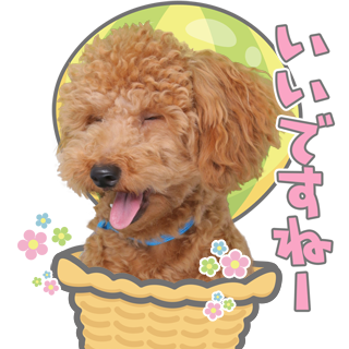 サムネイル： あいさつ丁寧語セット4 ↑