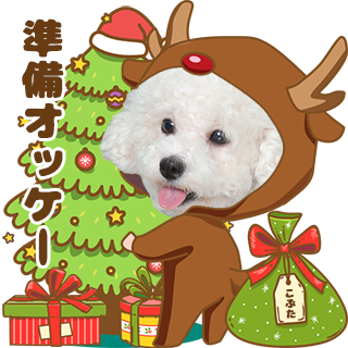 サムネイル： ハッピークリスマスセット