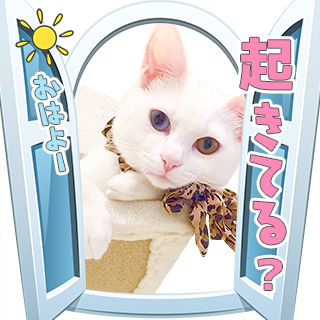 サムネイル： あいさつセット2 ↑