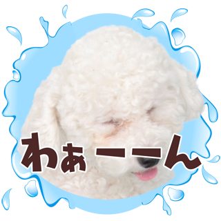 サムネイル： 喜怒哀楽セット2 ↑