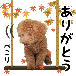 サムネイル： オータムセット2