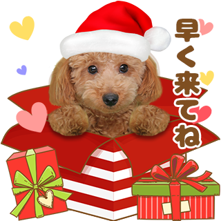 サムネイル： ハッピークリスマスセット