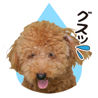 サムネイル： 喜怒哀楽セット1 ↑