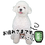 サムネイル： あいさつ丁寧語セット2 ↑
