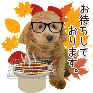 サムネイル： newオータムセット2