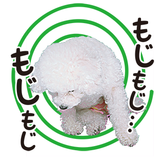サムネイル： バラエティーセット4 ↑