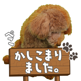 サムネイル： あいさつ丁寧語セット4 ↑