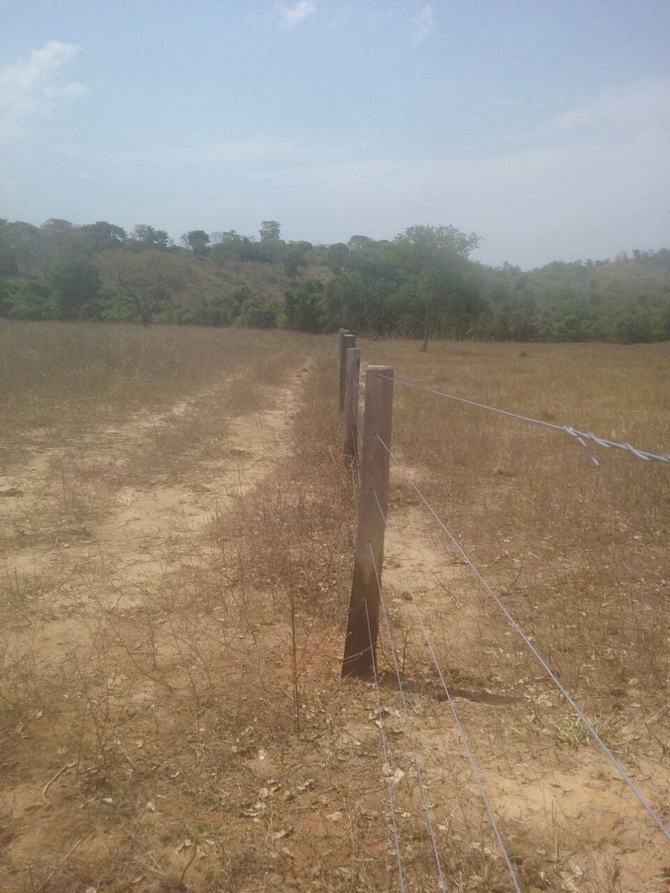 Miniatura: Fazenda- morro agudo - GO