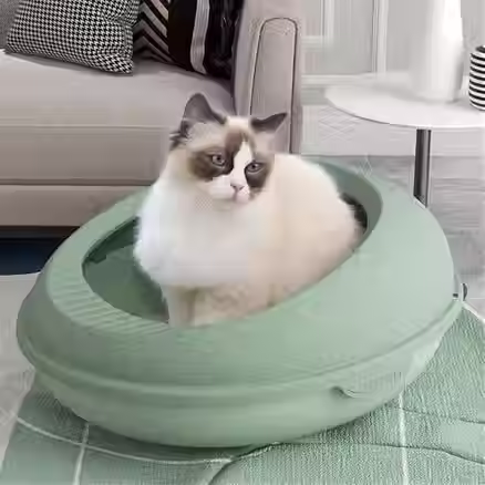 Thumbnail: Tualet për mace