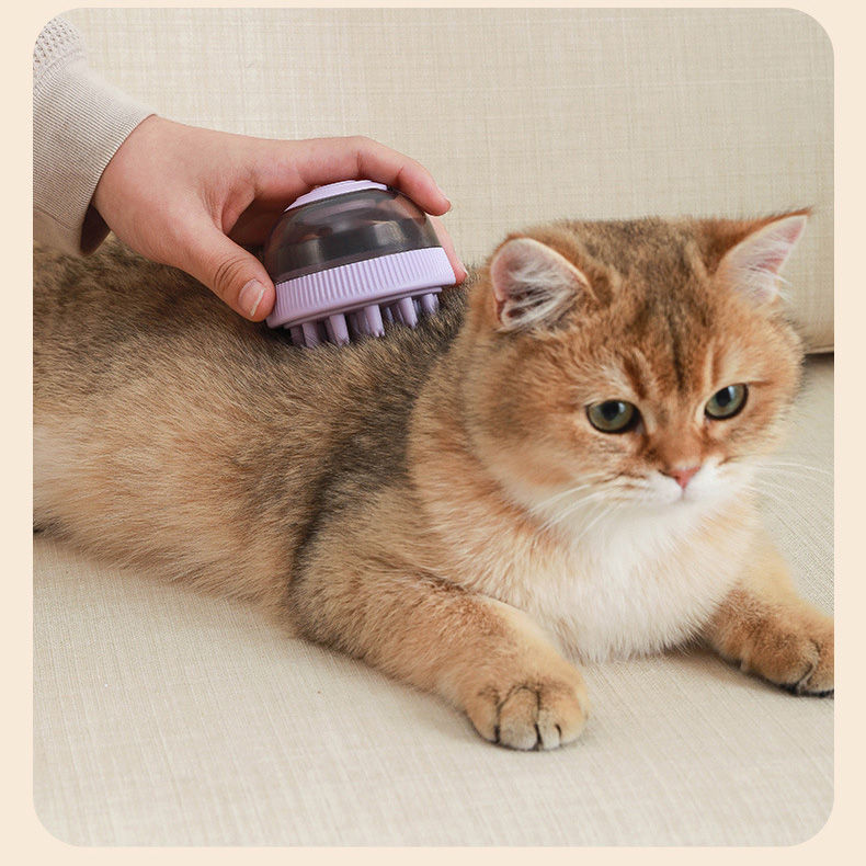 Thumbnail: Brushë me dispenser shamponi