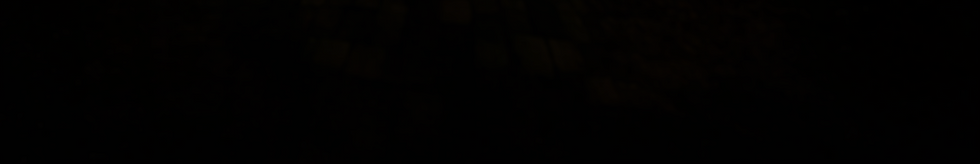 Header 1 bottom