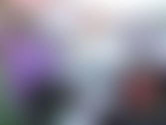 Update on Schools for Peace project