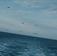 Screenshot 2020-09-30 at 4.00.25 AM.png