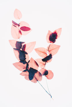 evie-s-5aXgxbySO5o-unsplash
