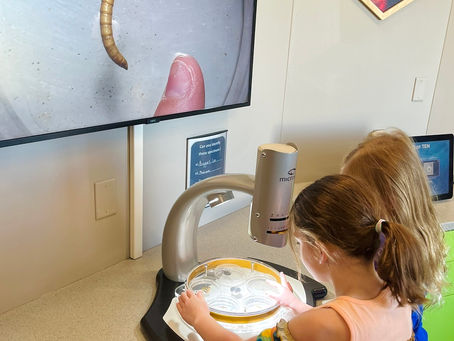 The Science & Wonder of Insects