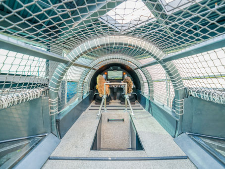 Discover Unique Museums and Art Experiences This Spring in North Dakota