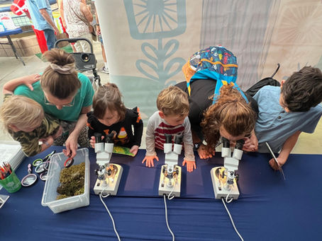 The Magic of Scandinavian Heritage & Norsk Høstfest in Minot