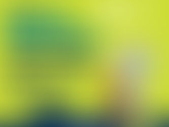 Military Family Days