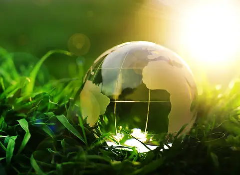 EIA (Environmental Impact Assessment) Management
