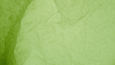 Leaf Close Up_edited.jpg