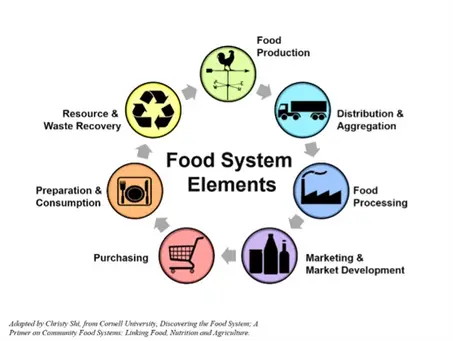 Deploy Data Science against pain points in the global agricultural supply chain.