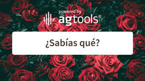 SABÍAS QUE… ROSAS