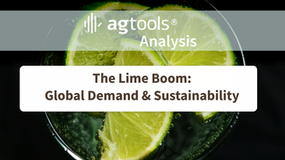 The Lime Boom: Global Demand and Sustainability