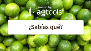 SABÍAS QUÉ... LIMÓN