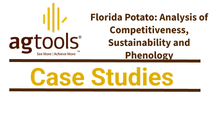 Florida Potato: Analysis of Competitiveness, Sustainability and Phenology