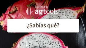 SABÍAS QUÉ... PITAHAYA