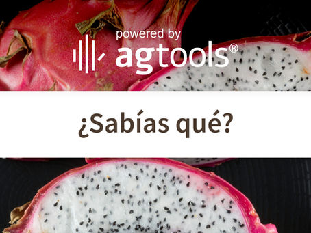 SABÍAS QUÉ... PITAHAYA