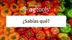 SABÍAS QUÉ... PIMIENTOS