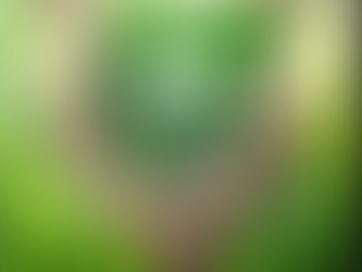 Government Agriculture Policy – Productive or Counterproductive