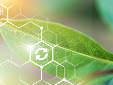 Digitalization improves farmers?